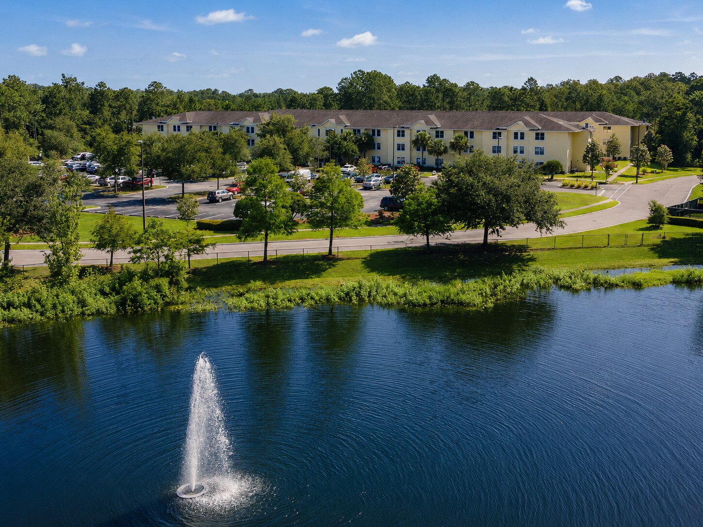 Aerial view of a Northeast Florida apartment community with maintained grounds, roads, and pond frontage